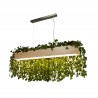 SUSPENSION EN BOIS ASH LED 20W 7231