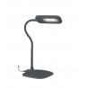 LAMPE DE TABLE DARWIN GRIS LED 4,8W 4000K LEDT-DAR