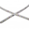 Ruban LED 12V 5m 14,4W/m 936Lm/m 6400K IP44