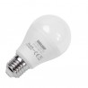 Ampoule LED 13W 1100Lm 6400K E27